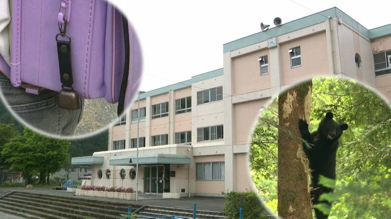 繁殖期の6～7月は特に要注意！全国でクマの出没相次ぐ…静岡県内でも昨年度は過去最多の目撃件数　県の担当者に聞いた”気をつけるべきこと”｜FNNプライムオンライン