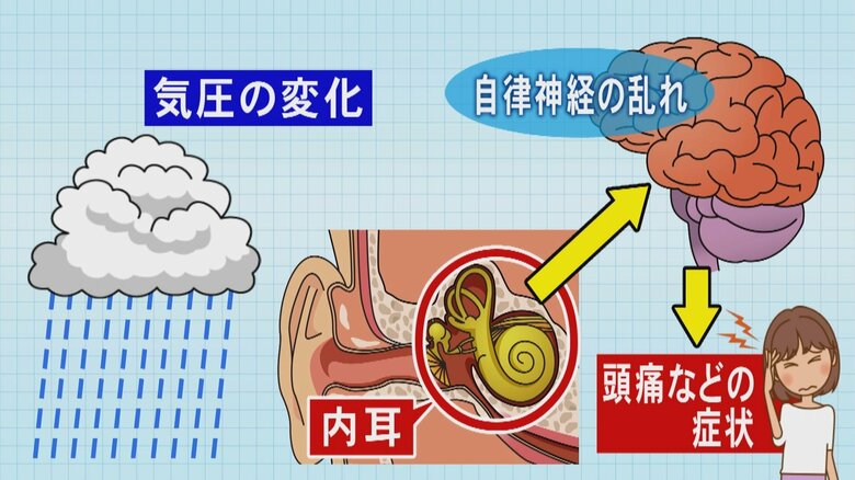 街には頭痛や倦怠感など訴える人が…『梅雨だる』の症状はなぜ起こるのか 医師が訴える“睡眠”の大切さ｜FNNプライムオンライン