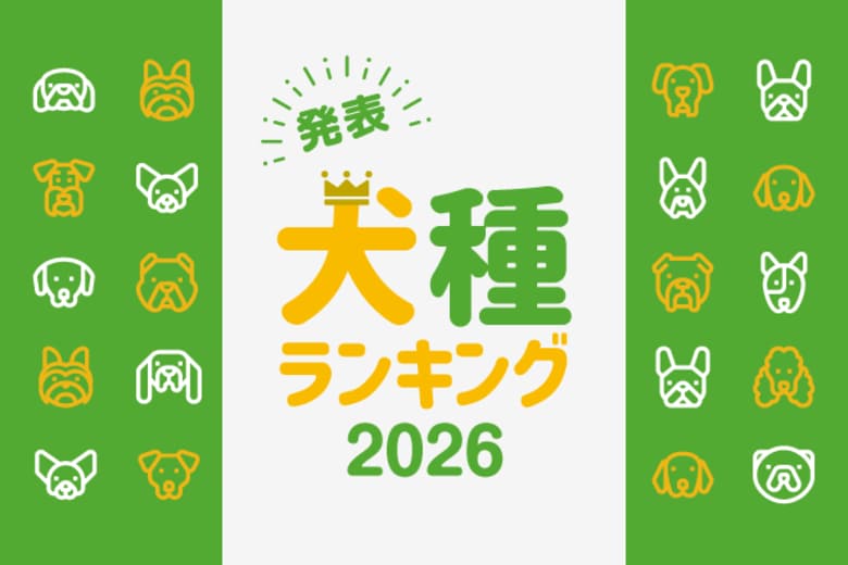 最新版！『犬種ランキング2026』