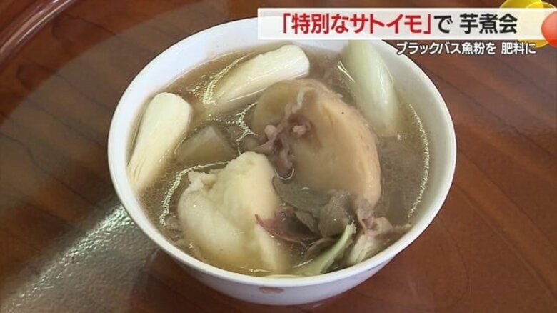 “ブラックバス”を肥料にして育ったサトイモで芋煮会　芋煮がおいしくできあがる　最上川の命の循環【山形発】｜FNNプライムオンライン