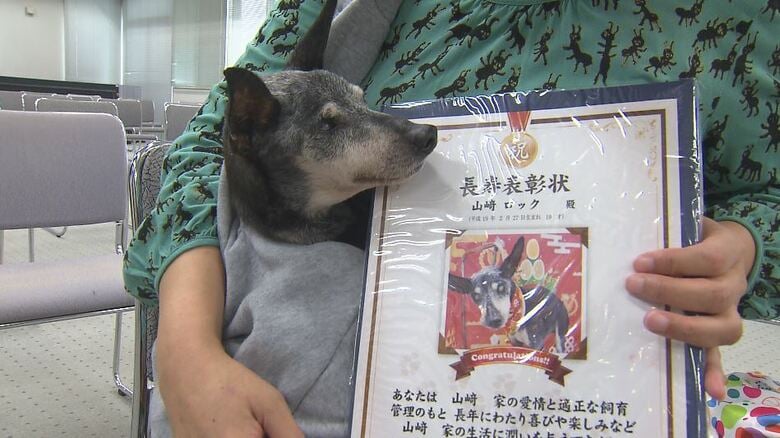19歳6カ月の愛犬「ロック」に感謝　飼い主「夜泣きやトイレでお世話するのが大変な毎日ですが、1日でも長く一緒に過ごしてほしい」　動物愛護週間に合わせ「ご長寿犬」を表彰｜FNNプライムオンライン