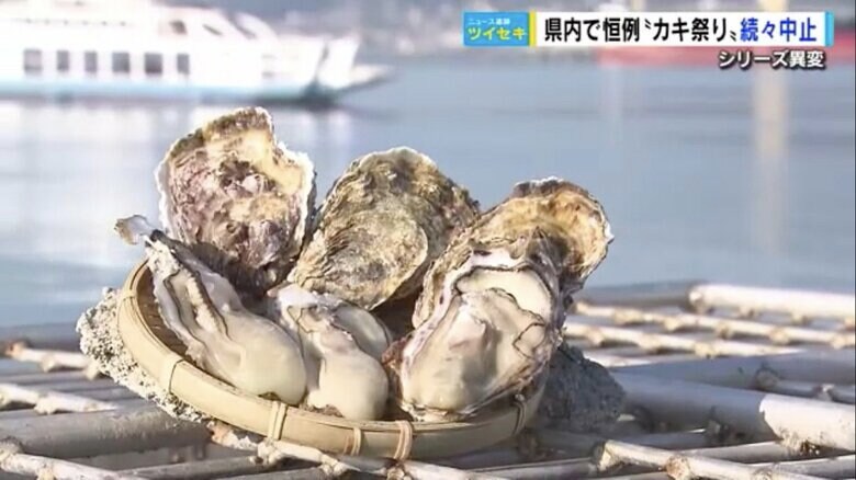 恒例の“カキ祭り”が続々中止…身太りの遅れが要因　海水温の上昇・降雨不足など気候変動の影響｜FNNプライムオンライン