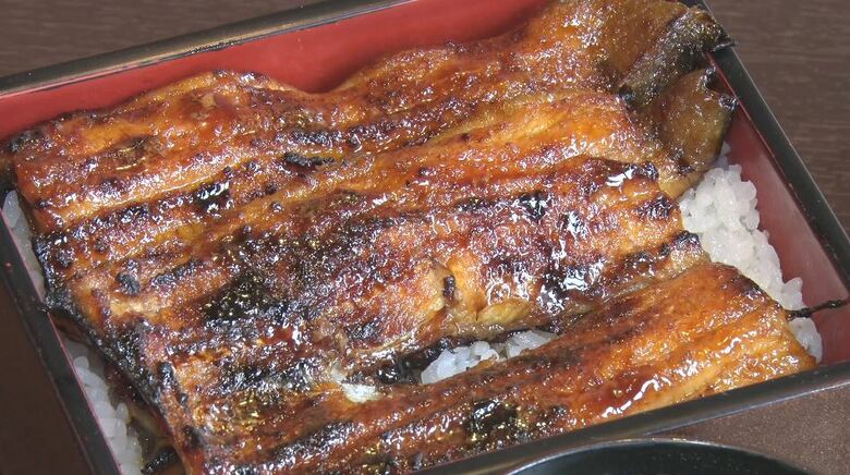 「うなぎ」の価格は？　7月19日は「土用の丑の日」　今年は稚魚が豊漁も…「前年のもので、まだまだ高いです」｜FNNプライムオンライン