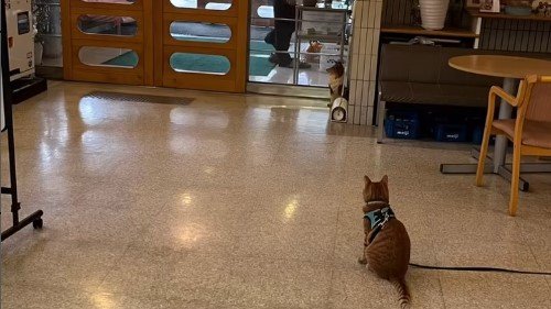 毎朝のお出迎え