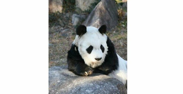 3月10日撮影　神戸市提供