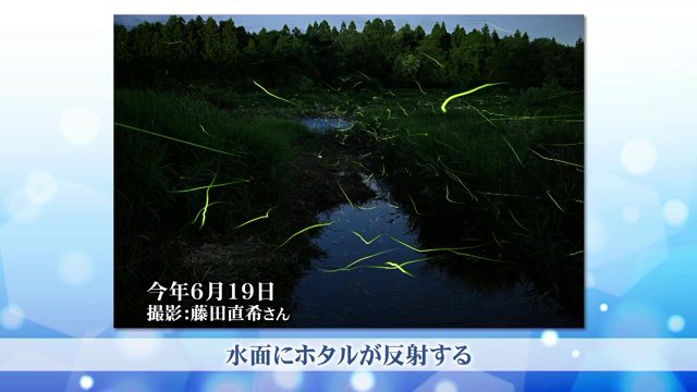 2025年6月19日　藤田直希さん撮影（荒川ほたるの森）