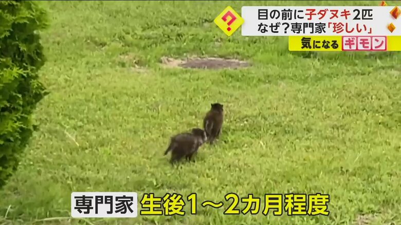 （FNN投稿サイト「ビデオPost」）