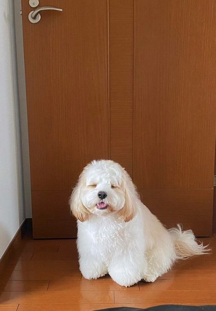 提供：宮原幸恵さん