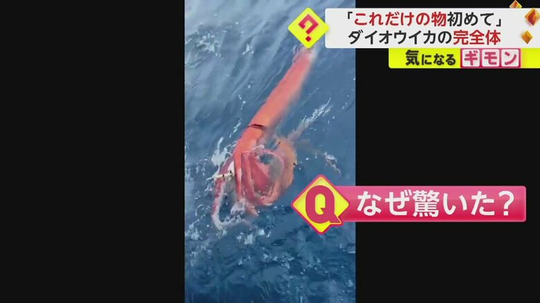 （漁師 小杉優さん撮影）