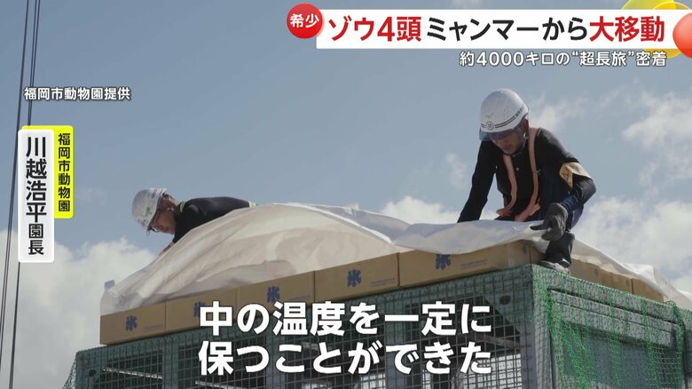 中の温度を一定に保つために、氷を天井に敷き詰めたゲージ