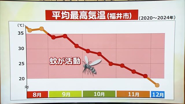 気温と蚊の活動の関係