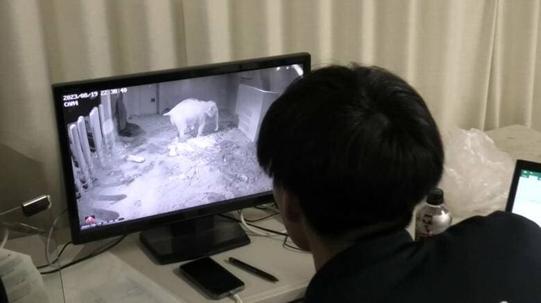 提供：札幌市円山動物園（出産当日の様子）