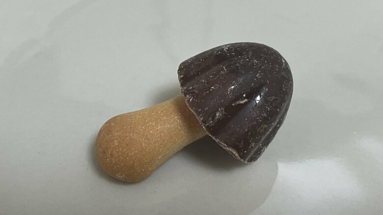 イヤホンにできるかどうか、形状も関係したという※画像はお菓子の「きのこの山」（編集部撮影）