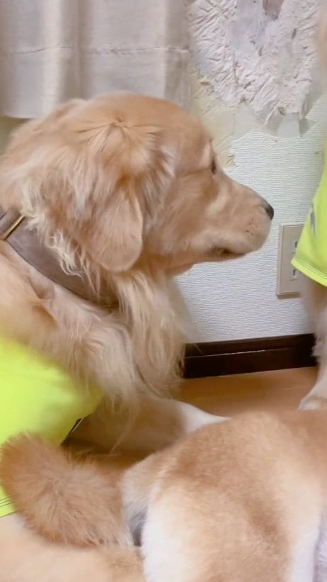 提供：ムックパパさん