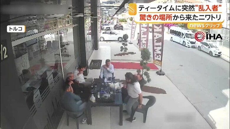 向かいの建物の5階から飛んできたというニワトリ