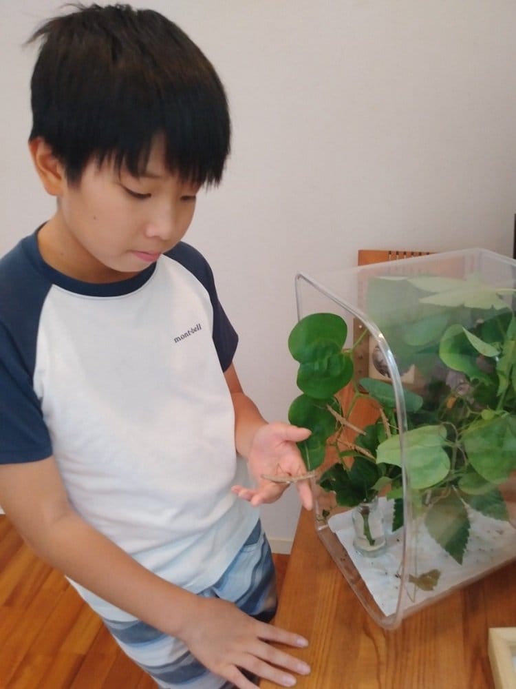 飼育の様子（画像提供：森下泰成）