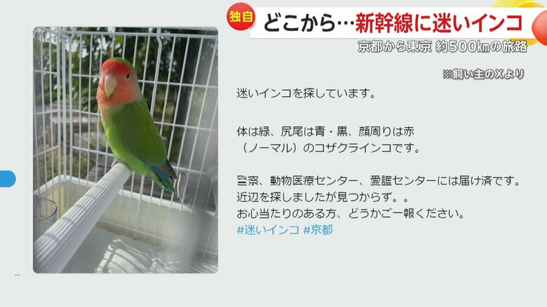 飼い主に投稿されたSNS（SNS投稿写真）