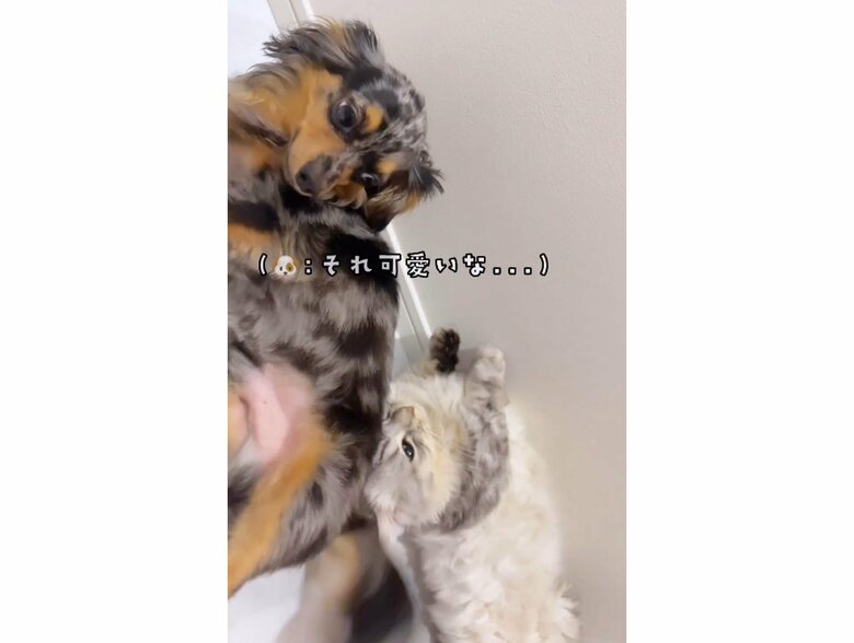 提供：チワックスの諭吉くん。さん