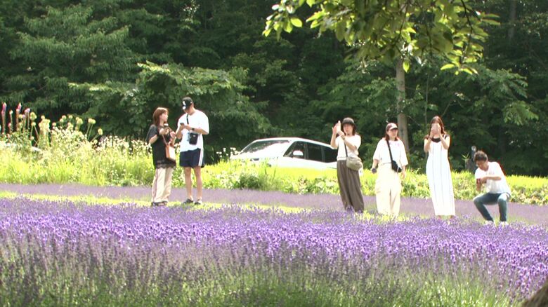 ラベンダーを楽しむ人々