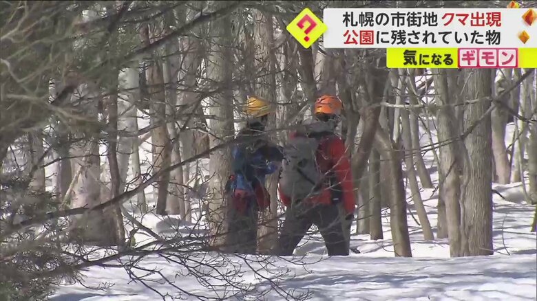 立入禁止の公園内を市の職員が調査する様子