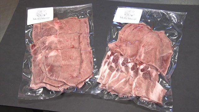 メルティ―シープ