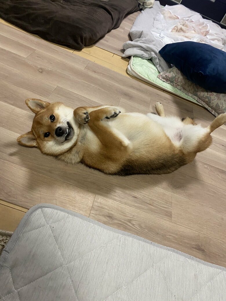 提供：はちさん