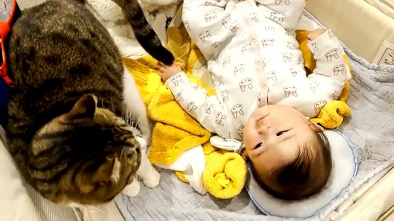 見つめ合う瞬間