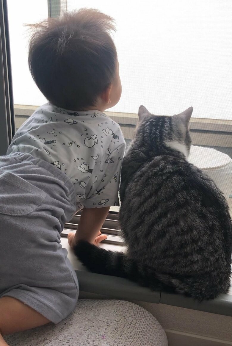 一緒に外を眺めたりも…