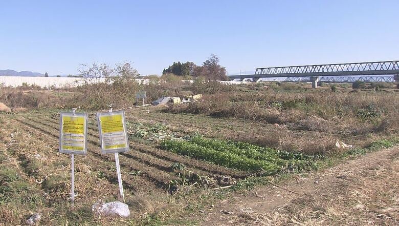 千曲川河川敷内に広がる「ヤミ畑」（2023年11月16日取材　長野市）