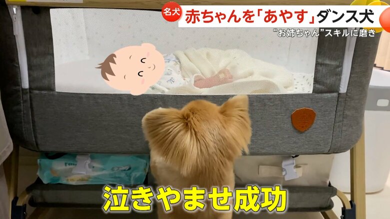 「えっ、え～ん」という赤ちゃんの泣き声が聞こえ、駆けつけるハナちゃん