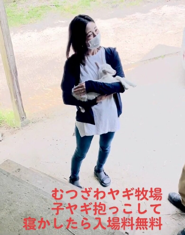 片手でお尻部分をトントンとリズムをとりながら（提供：むつざわヤギ牧場）