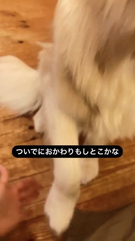 提供：エマさん