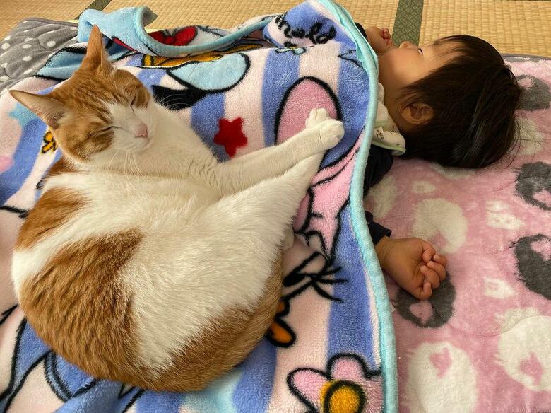 提供：Hassakuさん