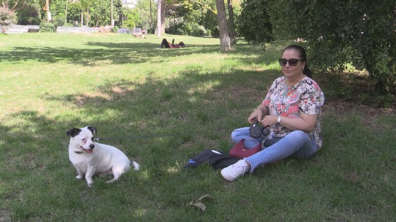 犬と散歩中の女性