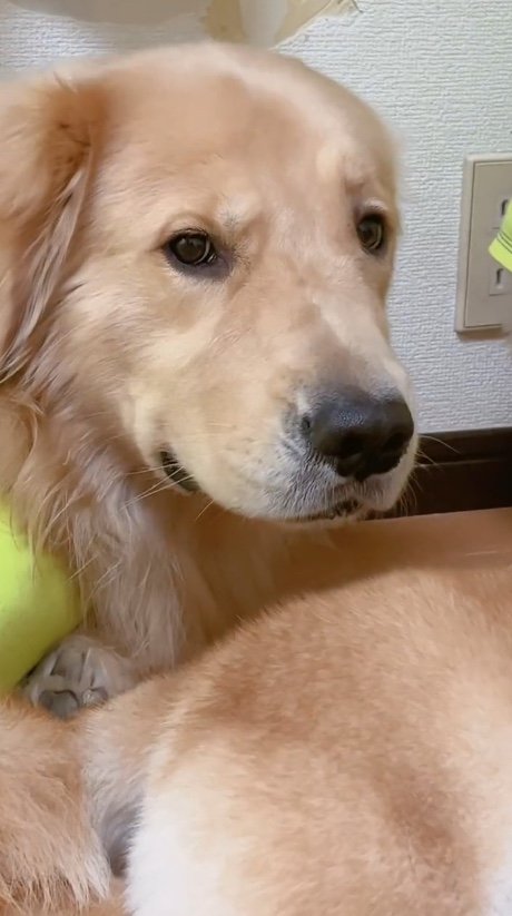 提供：ムックパパさん