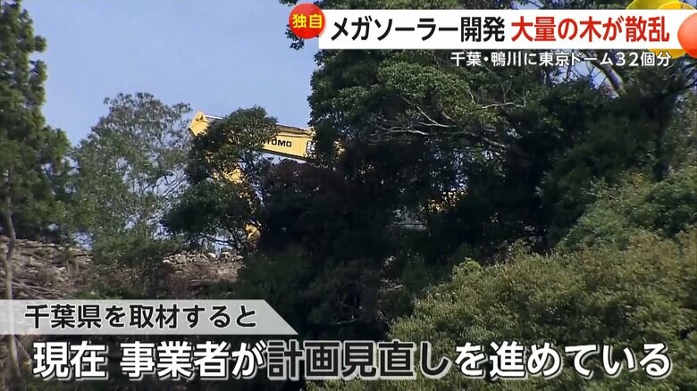 現在事業者が計画の見直しを進めていると回答した千葉県