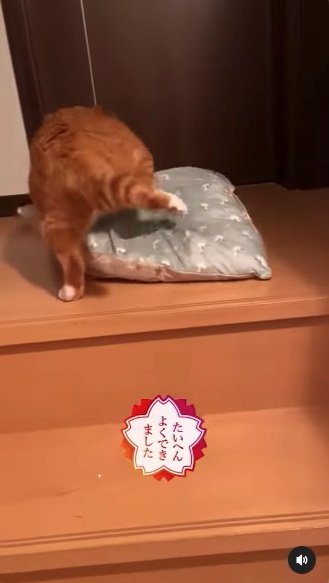 提供：赤瀬川和寿さん
