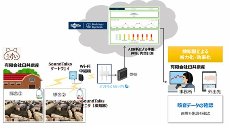 実施概要イメージ（画像提供：BIAHJ）