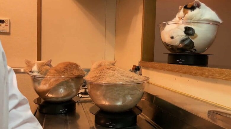 提供：みかんとじろうさんちさん