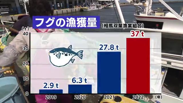 福島県・フグの漁獲量の推移