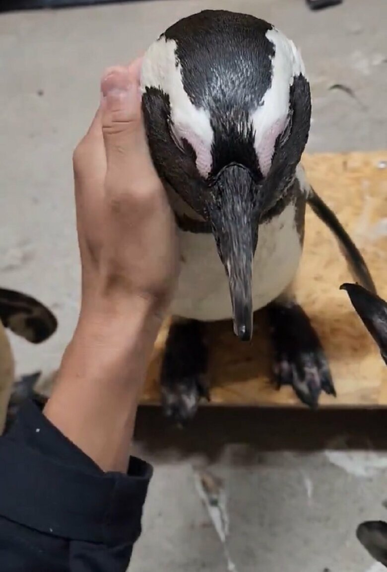 気持ちよさそう