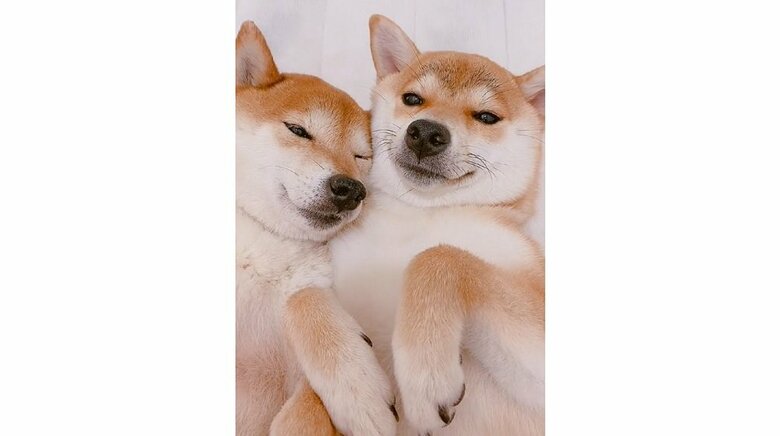 左：ムックくん　右：ミントちゃん