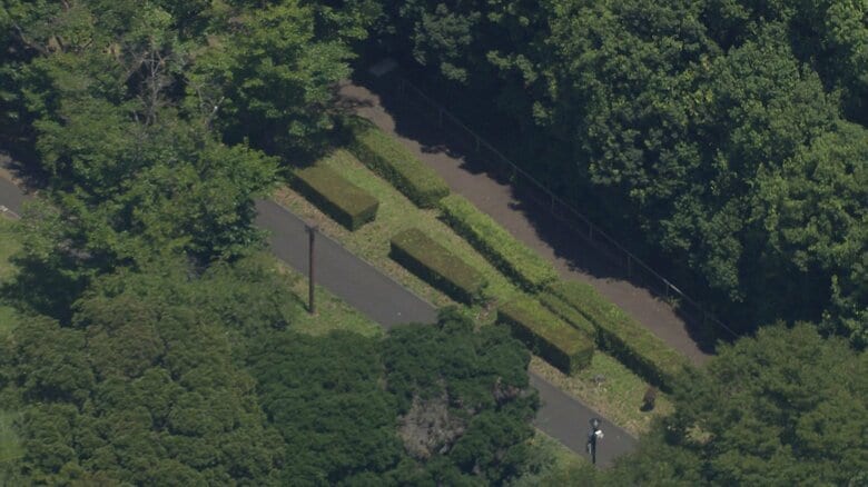 小中高生ら15人がハチに刺された現場周辺（茨城・つくば市）