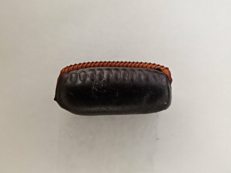 黒くて小さいクロゴキブリの卵鞘