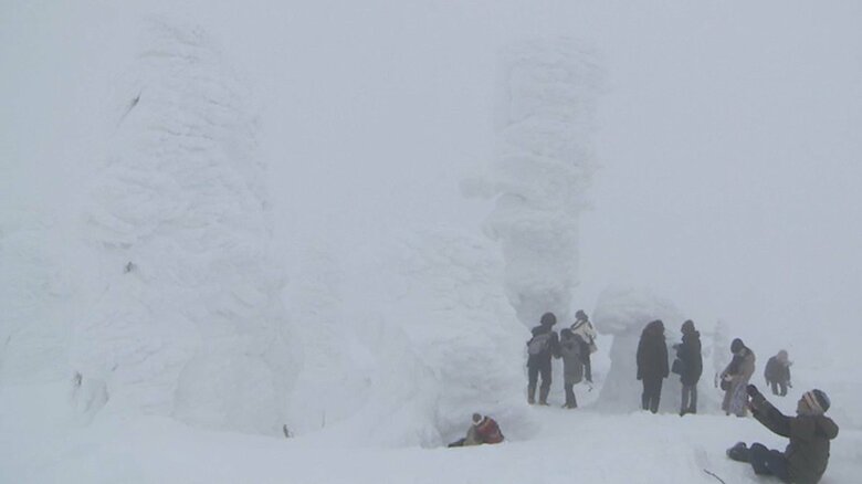 2025年1月13日　この時期にしては大きい樹氷