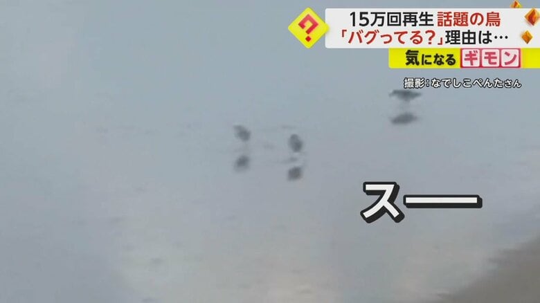 SNSで話題になった福岡県の海岸で撮影された映像