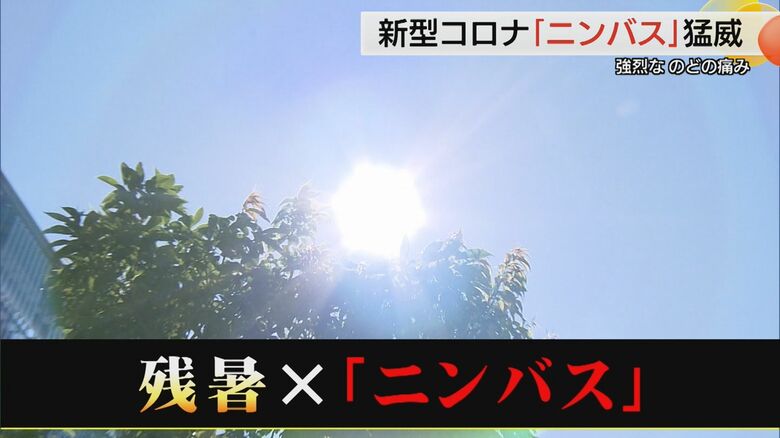 残暑が続く中で注意が必要な時期も長引く
