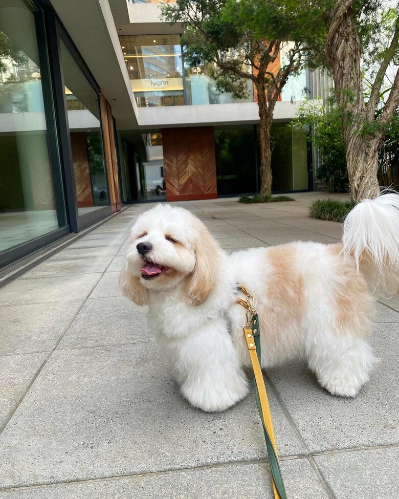提供：宮原幸恵さん