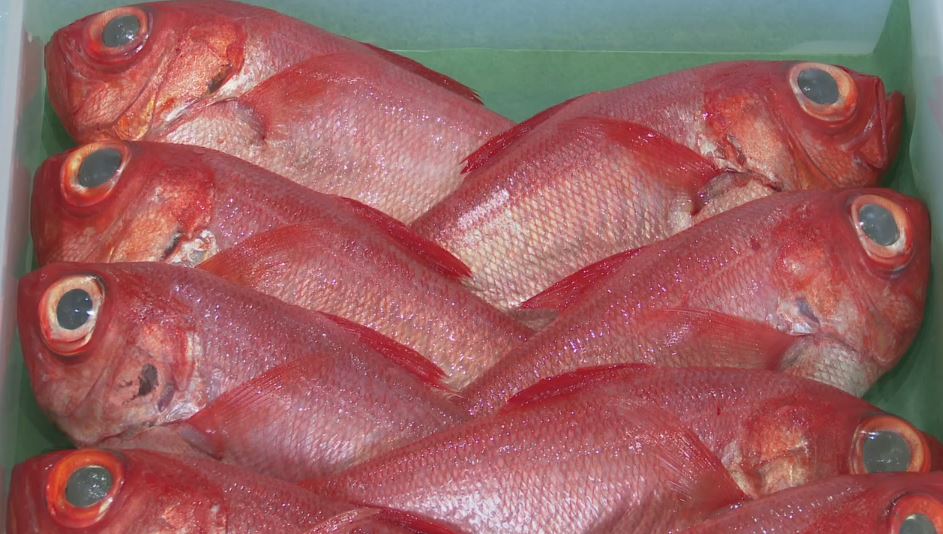 日本一海から遠い”海産物直売所 キンメダイ、活ヒラメ…「山国でも海を 