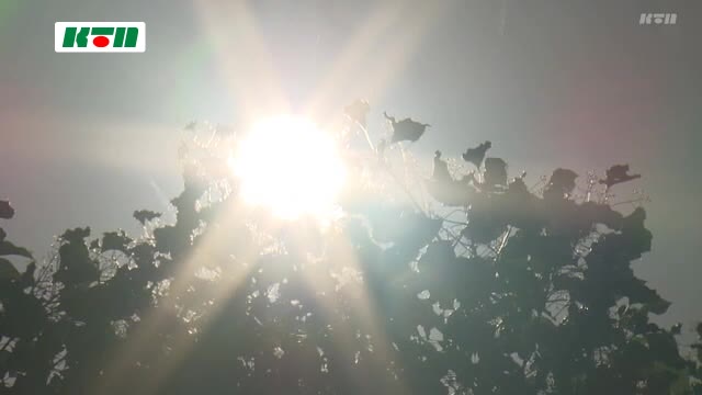 県内ほとんどの観測地点で25度超えの夏日に…熱中症で救急搬送も